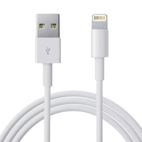 apple charger lead price